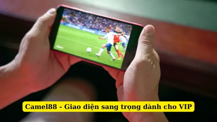 Camel88 - Giao diện sang trọng dành cho VIP