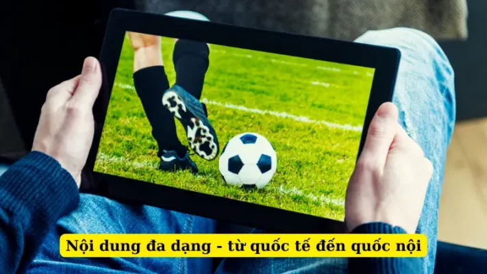 Nội dung đa dạng - từ quốc tế đến quốc nội tại biaomtv