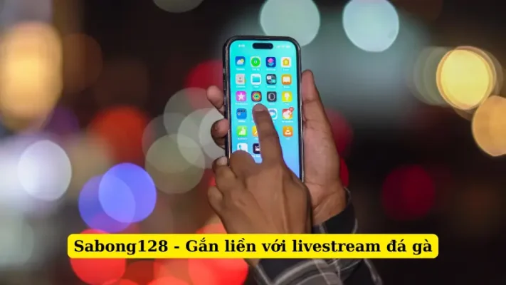 Sabong128 - Gắn liền với livestream đá gà