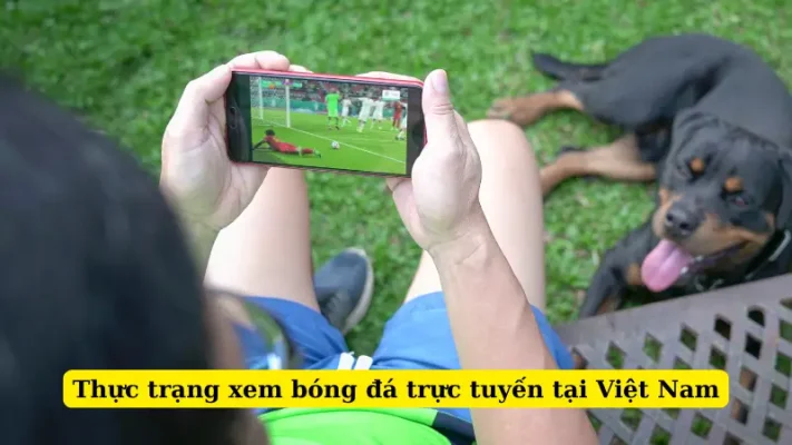 Thực trạng xem bóng đá trực tuyến tại Việt Nam