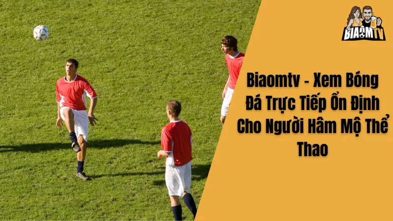 Biaomtv - Xem Bóng Đá Trực Tiếp Ổn Định Cho Người Hâm Mộ Thể Thao